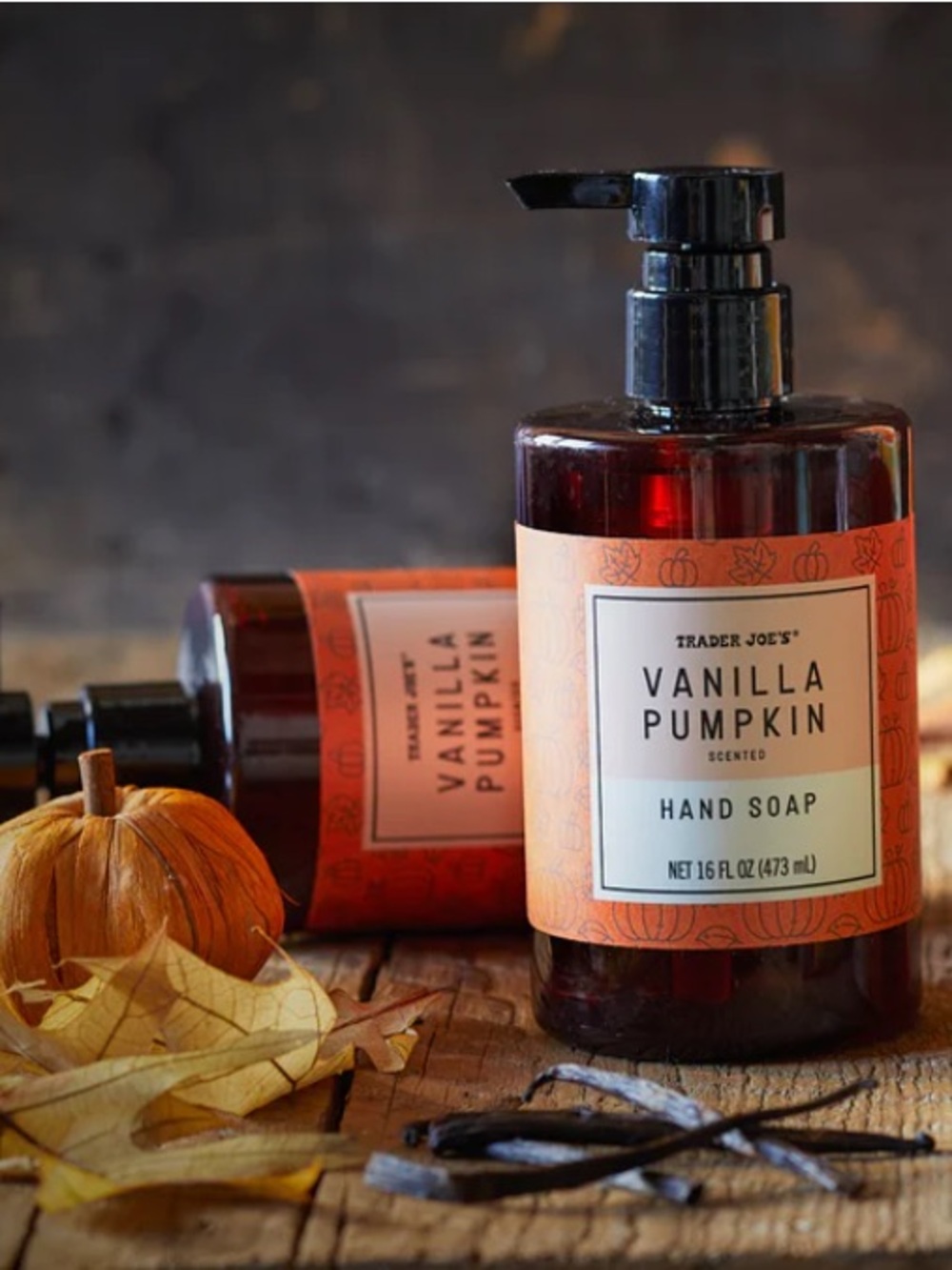 🆕🎃 Vanilla Pumpkin Hand Soap Trader Joe’s 10 Fl Oz NWT
